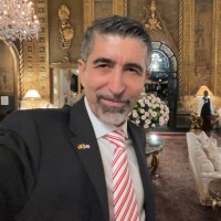Ionel Roiban Email & Phone Number