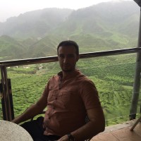 Cocoon Creations Employee Haidar al-Jafari's profile photo