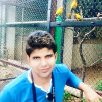 Corporate Catalyst India Employee Vvikas Siigroha's profile photo