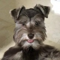 Allen Austin Employee Coco Bo's profile photo