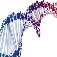 Stealth Startup Employee Jeff Sutherland's profile photo