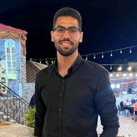 Gamma For Inspection & Testing Employee Mostafa Mansour's profile photo