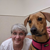 Notre Dame College Employee Suzanne Destefano's profile photo