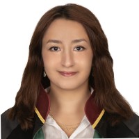 Ankara Bar Association Employee Ayfer Demi̇R's profile photo