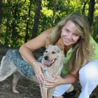 Weigh-Tec Inc. Employee Dawn Freeman's profile photo