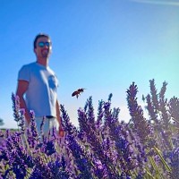 Biobest Group Employee Paul Tremellat's profile photo