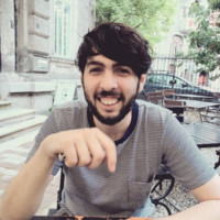 Lică Manolache Email