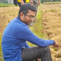 Sedulous Technology Solution Employee Paul Pradipta's profile photo