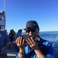 Total Terminals International, LLC Employee Kk Kim's profile photo