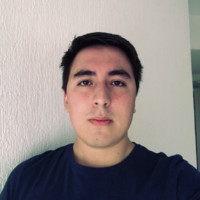 José Luis Toriz Email