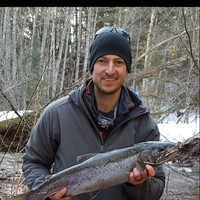 Mark Liles Email & Phone Number