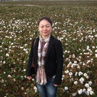 Shanghai Jiao Tong University Employee Jun Xu's profile photo