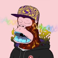 Yatz Nft