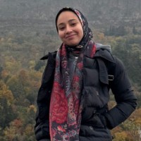 KSTING Employee Nada Diab's profile photo