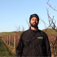 Redland Premium Fruit Employee Jaspal Singh's profile photo