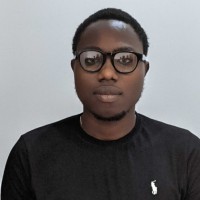 Demz Analytics Employee Olalekan Adebari's profile photo