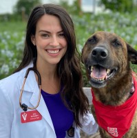 Email e telefono di Allison McFadden