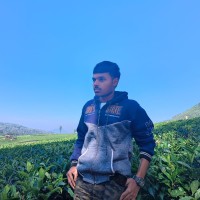 Quest1 Employee Karunanidhi Ayyamperumal's profile photo