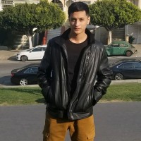 Frank Vincench Email & Phone Number