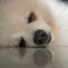 Forefront Studios Employee Joanne Sim's profile photo