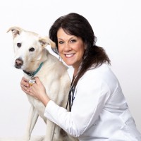 VCA Animal Hospitals Employee Patricia Dettlinger's profile photo