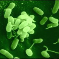 Origin Amenity Solutions Employee Finbarr Madden's profile photo