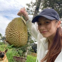 Cheryle Qin's profile photo