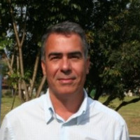 Sergio Luiz Pinto Ferreira Email