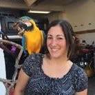 Velma Employee Nico Serna's profile photo