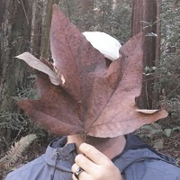 California State University, Monterey Bay Employee Timothy Orme's profile photo