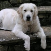 Intrepid Management Employee John Curry's profile photo