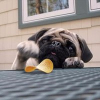 GIGALIGHT Employee Infiberone Onlinestore's profile photo