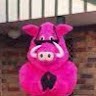 PRP Aust Pty Ltd Employee Hogs Undefined's profile photo