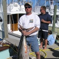Todd Cook Email & Phone Number