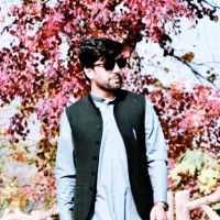 Wafiullah Safi Email