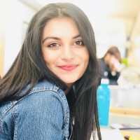 Avenue Z Network Employee Shenil Patel's profile photo