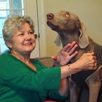 Petfinder Employee Jeanine Kahrs's profile photo