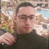 Ahmed Awady Email & Phone Number