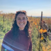 Andavi Solutions Employee Sarah Nagle's profile photo
