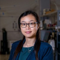 Michel Chen Email & Phone Number