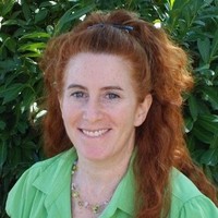 Tobin Freid Email & Phone Number