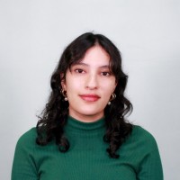 Comercializadora Electronova S.A. Employee Mariana Linares Quintana's profile photo