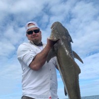 Houston Heavy Machinery LLC Employee Tj Kwiatkowski's profile photo