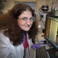 Amy Reichel Email & Phone Number