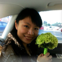 Stella Wang Email
