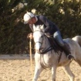 People and Co. Ltd Employee Steve Vassallo's profile photo