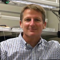 Boston University Employee Thomas Little's profile photo