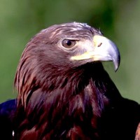 John Huebner Email & Phone Number