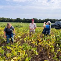 Illinois Soybean Association Employee Stephanie Porter's profile photo