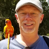 Robert Driscoll's profile photo